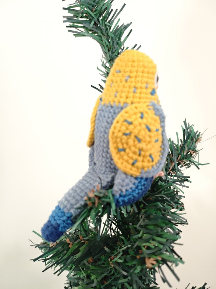 muhabbet kuşu - Görsel 3