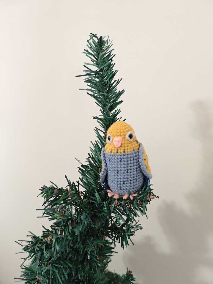 muhabbet kuşu - Görsel 4