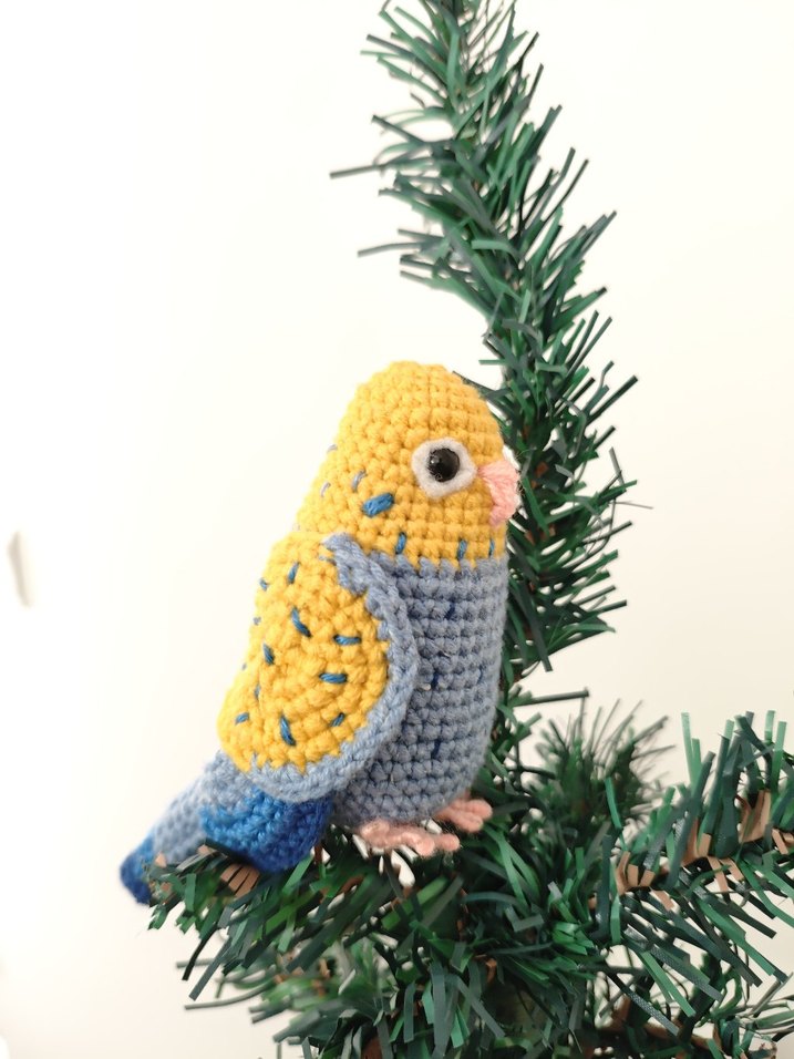 muhabbet kuşu - Görsel 2