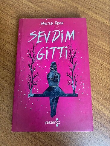 Sevdim Gitti / kitap