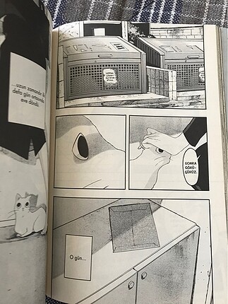 Kadın ve kedisi (manga)