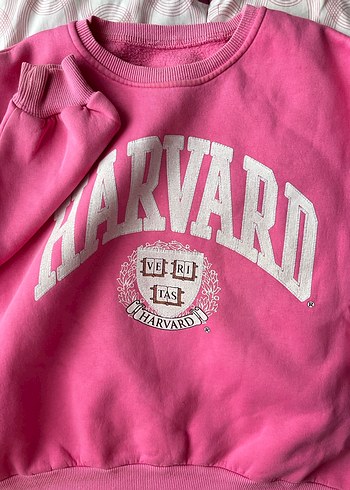 Pembe Harvard Baskılı Kadın Sweatshirt - Görsel 2