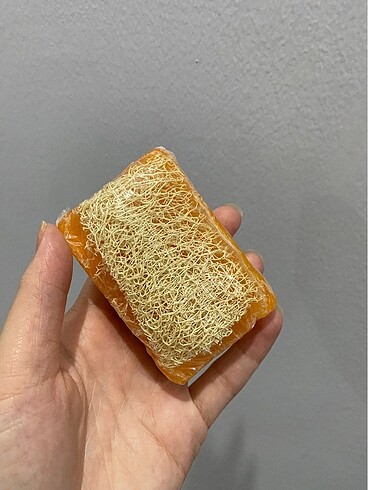 Diğer Eşek sütlü kabak lifli sabun