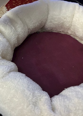 Kedı yatağı yenı hıc kullanılmadı - Görsel 7