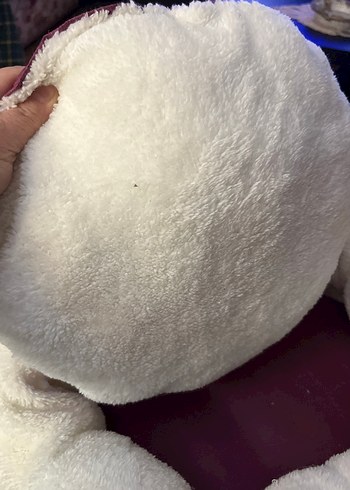 Kedı yatağı yenı hıc kullanılmadı - Görsel 8