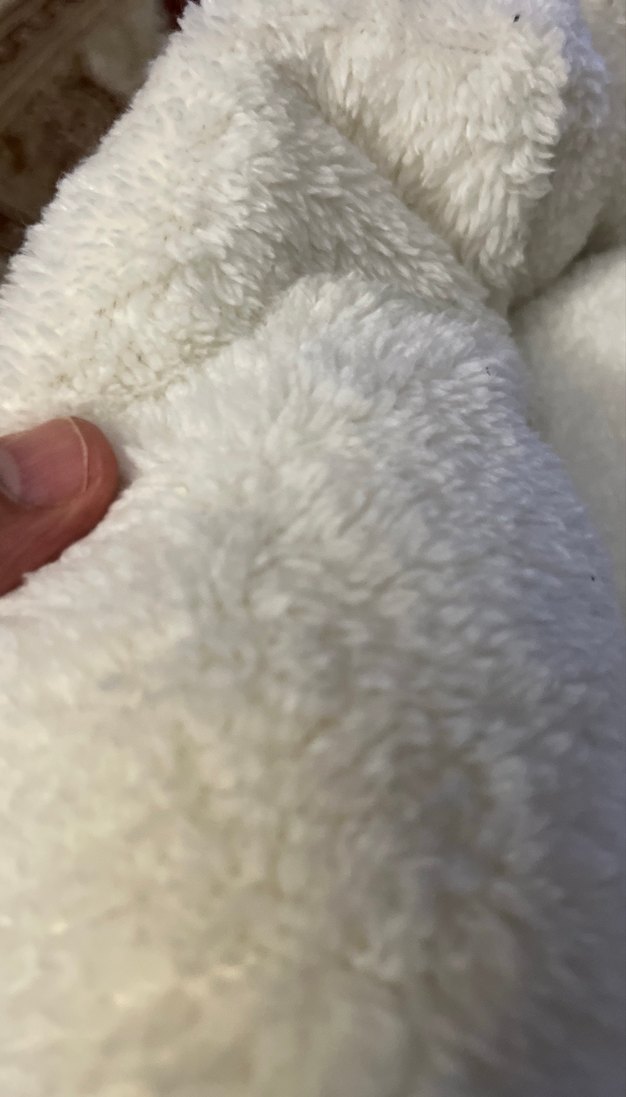 Kedı yatağı yenı hıc kullanılmadı - Görsel 4