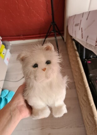 Yürüyen Kedi Seste Çıkarıyor FR