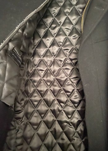 Siyah Erkek kaban - Görsel 2