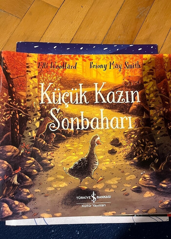 Çocuk kitap 4 lü - Görsel 2