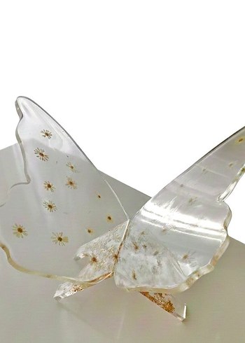 Gerçek papatyalı epoksi rahle - Görsel 4