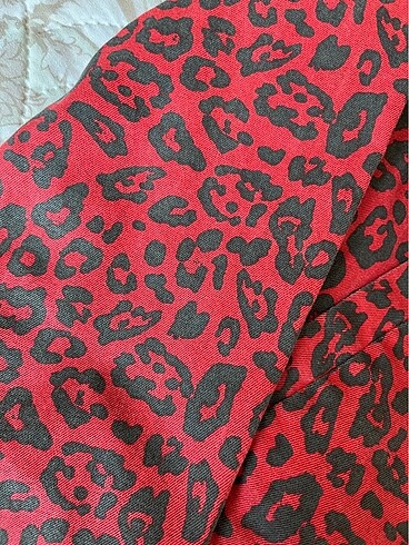 m Beden Mont leopar