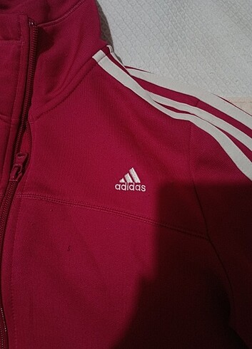 Adidas hırka