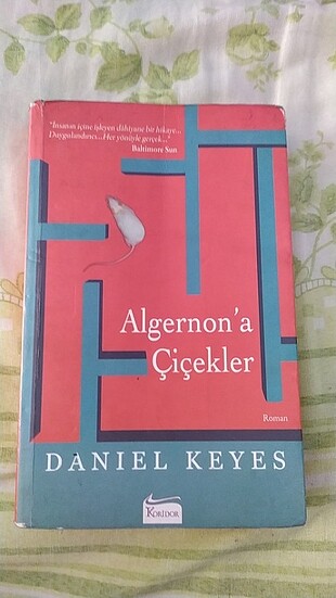 Algerona çiçekler adlı kitap