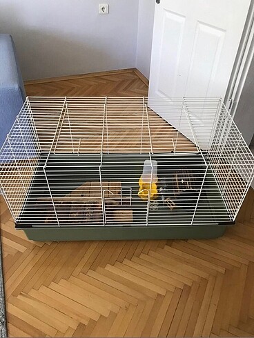 Guinea pig ve tavşan kafesi