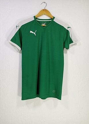 Puma forma