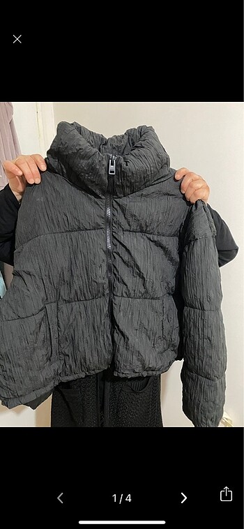 bershka mont