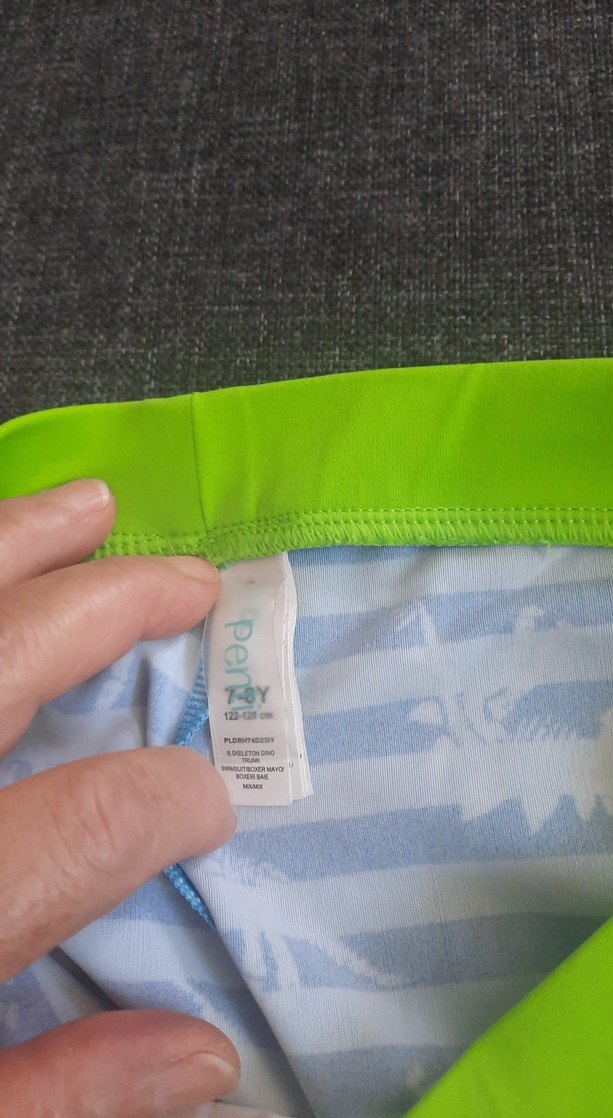 Mavi Dinozor Desenli Erkek Çocuk Mayo - Görsel 3