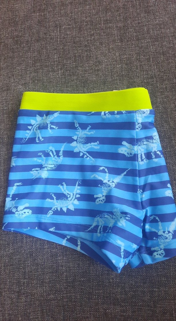 Mavi Dinozor Desenli Erkek Çocuk Mayo - Görsel 2