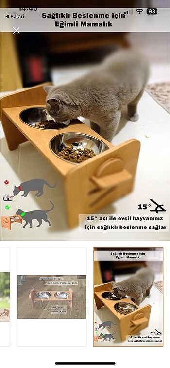 kedi mama ve su kabı
