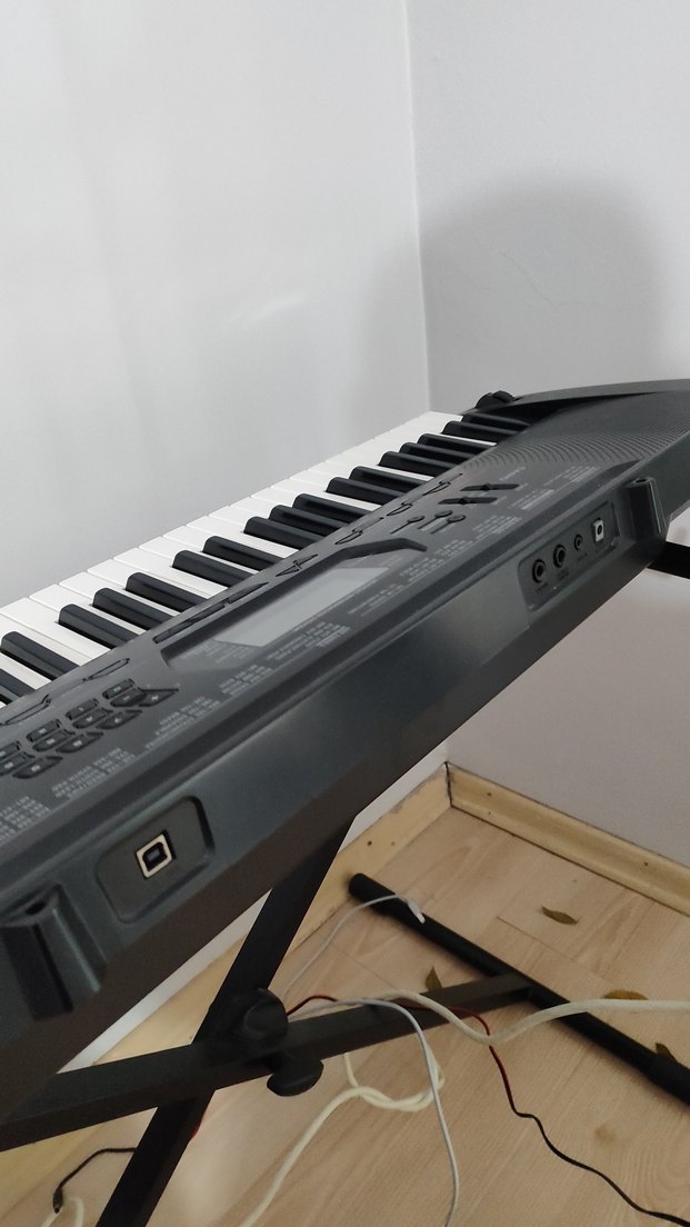 Casio CTK 3000 org - Görsel 2