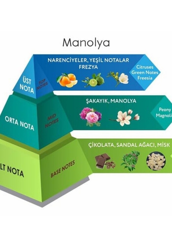 Venilia Manolya Kolonya Eau De Cologne Cam Şişe 200 ML - Görsel 2