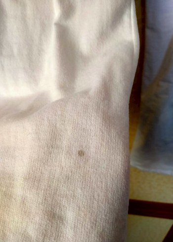 Beyaz Kemerli Spor Rahat Kadın Pantolon - Görsel 8