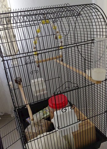 siyah Kuş Kafesi ve Aksesuarları - Görsel 3