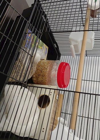 siyah Kuş Kafesi ve Aksesuarları - Görsel 4