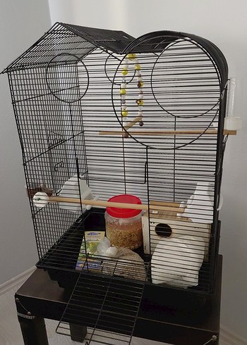 siyah Kuş Kafesi ve Aksesuarları - Görsel 2