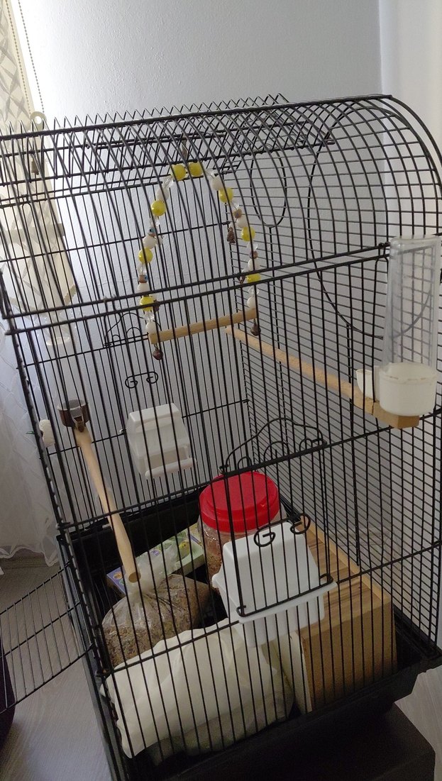 siyah Kuş Kafesi ve Aksesuarları - Görsel 3