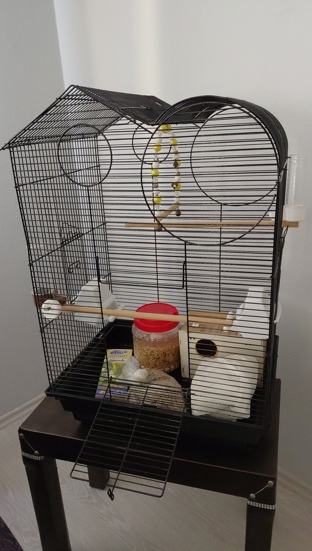 siyah Kuş Kafesi ve Aksesuarları - Görsel 2