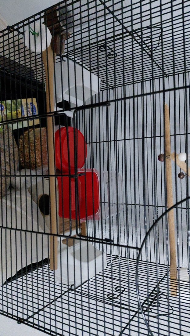 siyah Kuş Kafesi ve Aksesuarları - Görsel 5