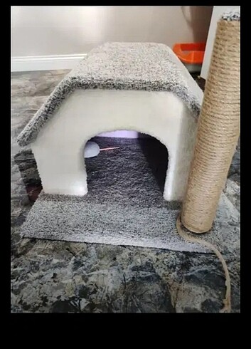 Kedi evi ve oyuncağı 