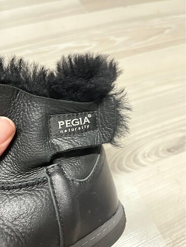 Pegia Pegia bot