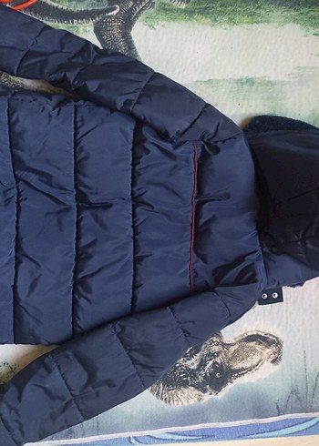 Erkek Çocuk Lacivert Kürklü Mont - Görsel 5