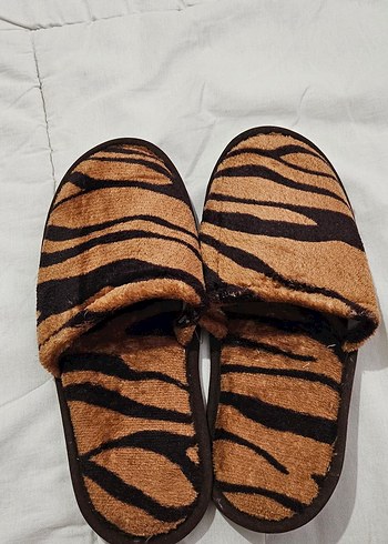 altı tanesi altı yüz tane fiyatı yüz t l - Görsel 6