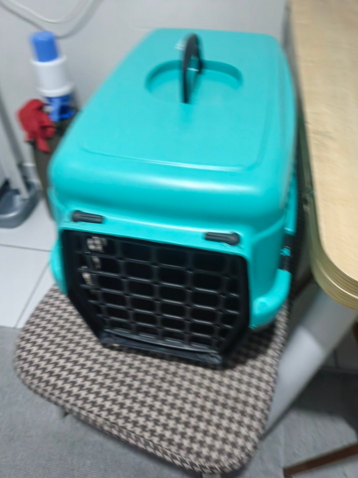 Turkuaz Taşınabilir Evcil Hayvan Taşıyıcı - Görsel 4