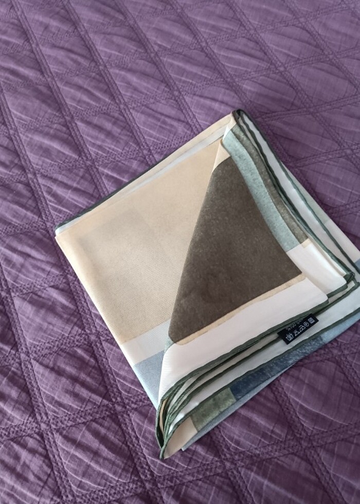 Silk home ipek eşarp  - Görsel 2