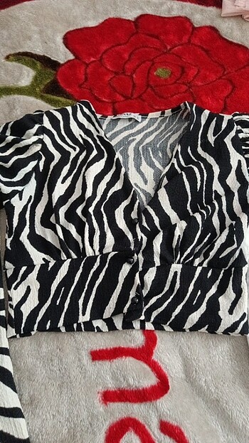 s Beden çeşitli Renk Zebra desenli alt üst takım
