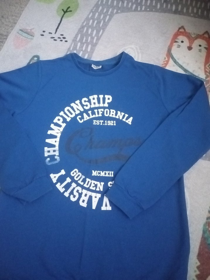 LCW Baskılı Erkek Sweatshirt - Görsel 2