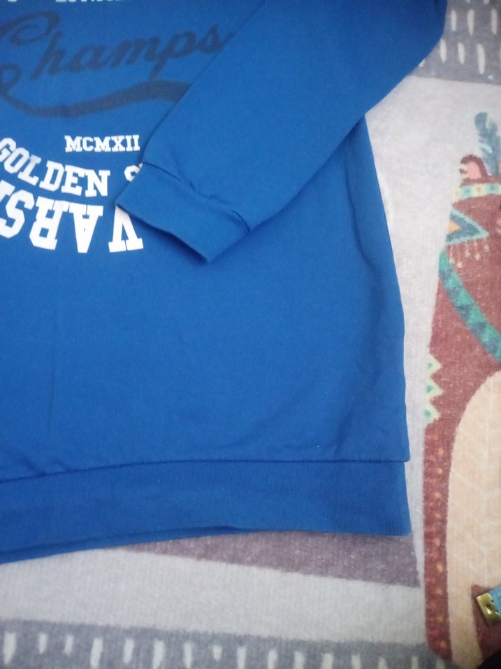 LCW Baskılı Erkek Sweatshirt - Görsel 5