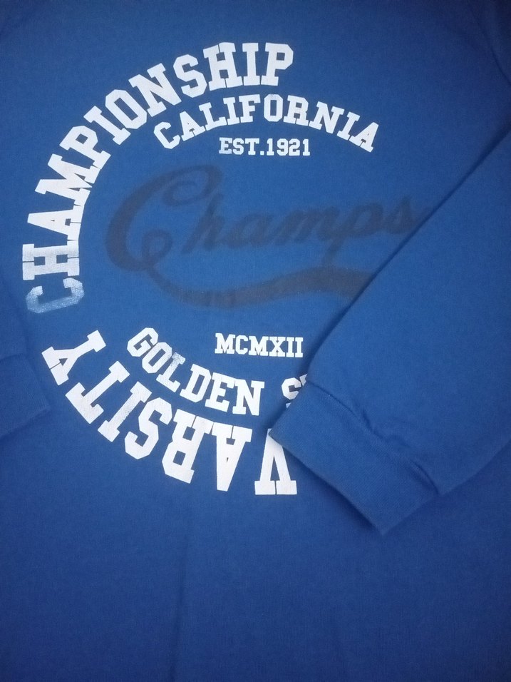 LCW Baskılı Erkek Sweatshirt - Görsel 3