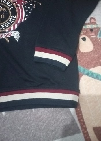 Erkek Çocuk Kapüşonlu Uspa Sweatshirt - Görsel 5