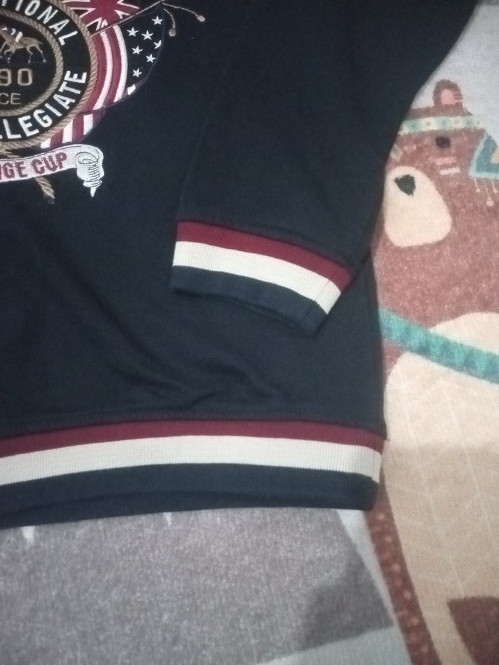 Erkek Çocuk Kapüşonlu Uspa Sweatshirt - Görsel 5