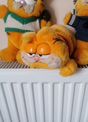  Beden Garfield