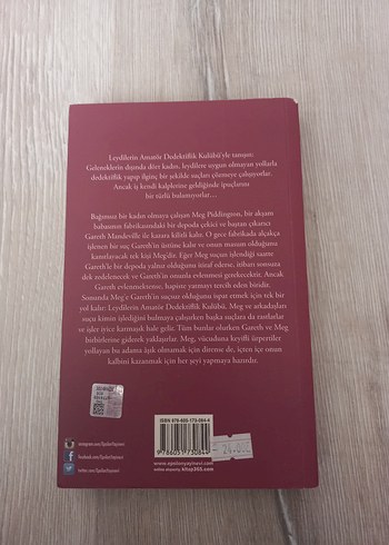 Büyülü Bir An İçin - Robyn Dehart - Görsel 2