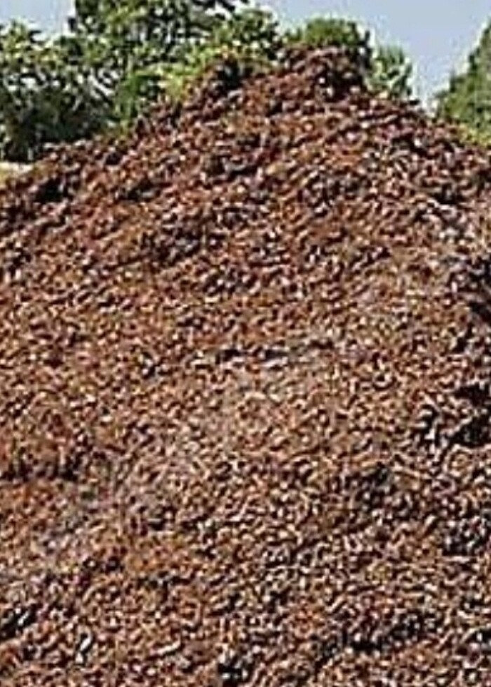 Yanmış hayvan gübresi - Görsel 2