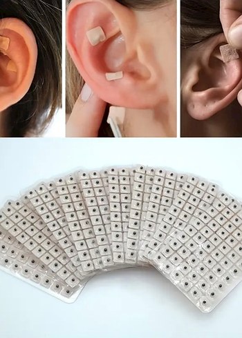 auriküloterapi kulak fasulyesi - Görsel 3