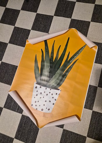 Sarı Saksılı Bitki Duvar Tablosu 50x70 cm - Görsel 4