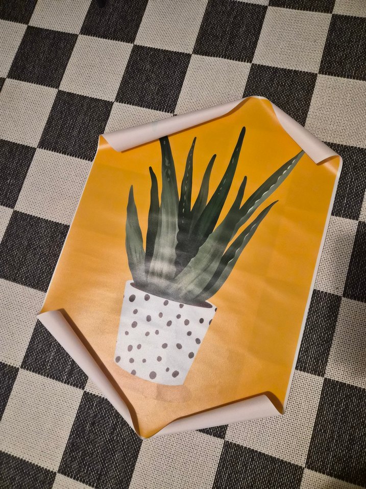 Sarı Saksılı Bitki Duvar Tablosu 50x70 cm - Görsel 4